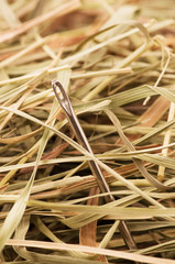 Needle in a haystack.