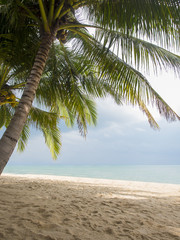 Fototapeta premium Koh Samui, Thailand Lamai Beach