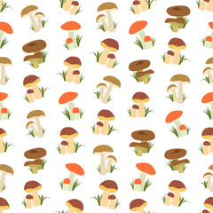 Seamless colorful background made of  different kind of mushroom