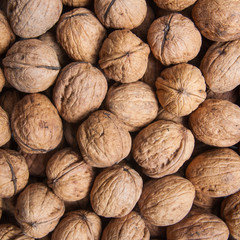 Pile of dried walnuts