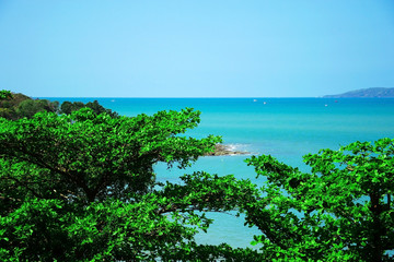 Fototapeta na wymiar пейзаж с лазурным морем, голубым небом и зелёными деревьями