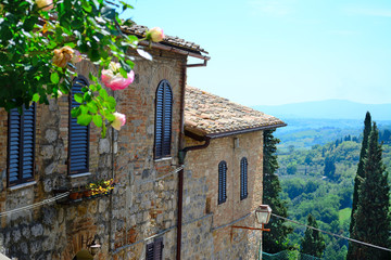 brick wall and flowers in San Gimignano