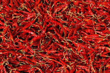 Fototapeta premium Dried chili background