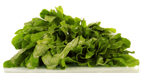 bunch of fresh sorrel