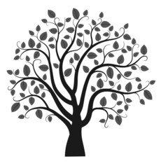 Vector tree silhouette isolated on white background