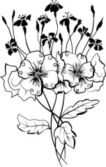 Viola and carnations  bouquet vector illustration
