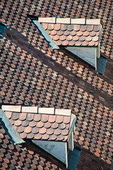 altes Hausdach mit Dachgauben