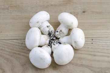 Mushrooms in circle.