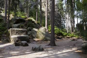 National Park of Adrspach-Teplice rocks. Czech Republic