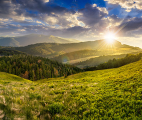 Naklejka premium krajobraz z doliną i lasem w wysokich górach o zachodzie słońca