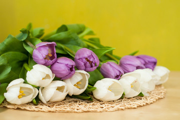 white and violet tulips on the table