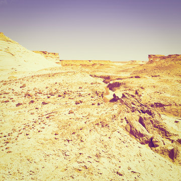 Desert