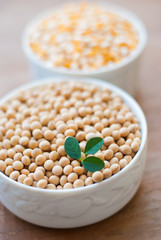soy bean on white wooden background