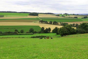 Fototapeta premium Hilly countryside 