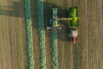 aerial view of harvest fields with combine