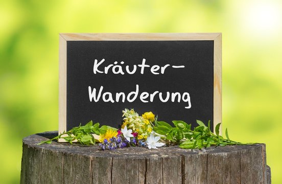 Kr&auml;uterwanderung