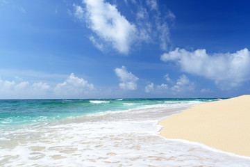 Fototapeta na wymiar 南国の美しいビーチと紺碧の空 