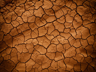 Cracked earth in dry desert