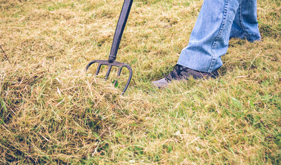 Fototapeta na wymiar Senior man feet raking hay with pitchfork on field