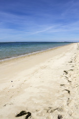 Armona island beach. Ria Formosa wetlands conservation region.