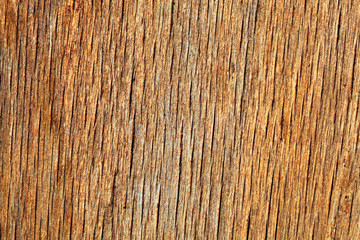 Rustic wood