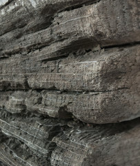 Sehr altes Treibholz / Mooreiche