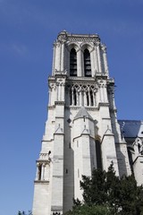 Fototapeta na wymiar Tour de la Cathédrale Notre Dame de Paris 
