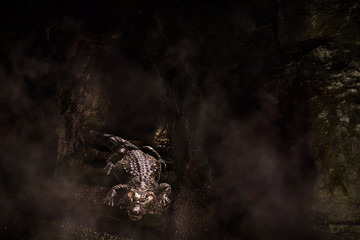 ancient monster in a dark dungeon in the fog