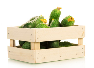 Wooden box with cucumbers