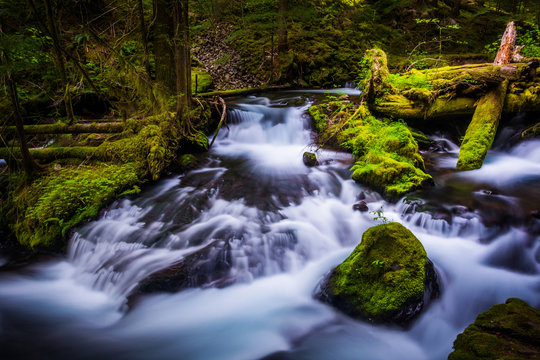 Cascades on Panther Creek, in Gifford Pinchot National Forest, W