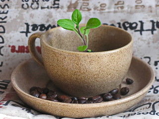 cup of coffee 