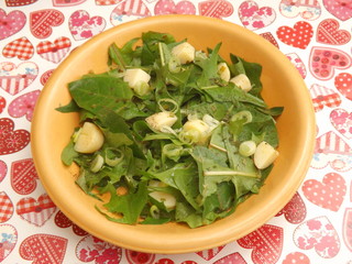 Löwenzahn mit Kartoffeln