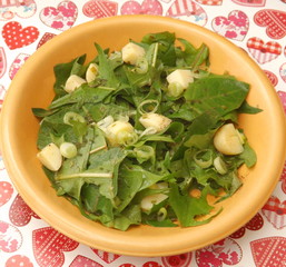 Löwenzahn mit Kartoffeln