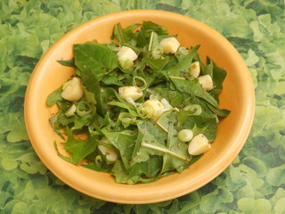 Löwenzahn mit Kartoffeln