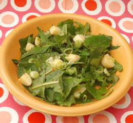 Löwenzahn mit Kartoffeln