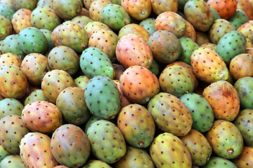 Cactus fruits ( called also as Opuntia ficus-indica, Indian fig opuntia, Barbary fig, prickly pear...