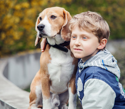 Boy with beagle portrait