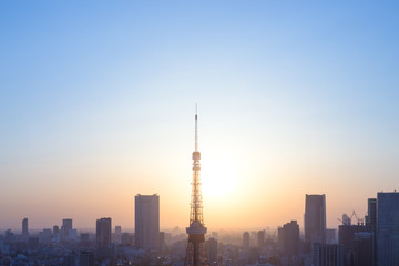 Fototapeta na wymiar 東京タワーと夕日