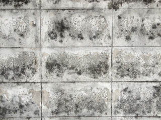 Grunge cement wall