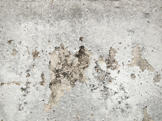 Grunge cement wall