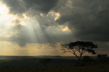 um grande campo sob raios de sol do outono