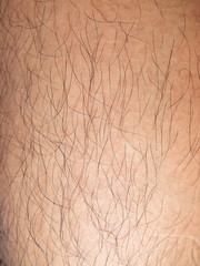 Mans hairy leg