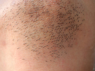 Men's short beard and lips close up