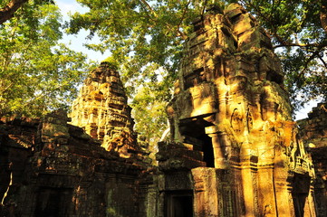 Fototapeta premium Ta Prohm Temple of Angkor Thom, Cambodia