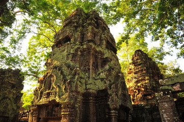 Ta Prohm Temple of Angkor Thom, Cambodia
