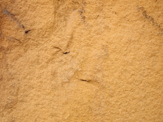 Yellow grunge wall for texture background