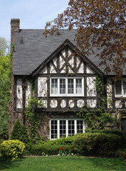 shady Tudor style house with vines