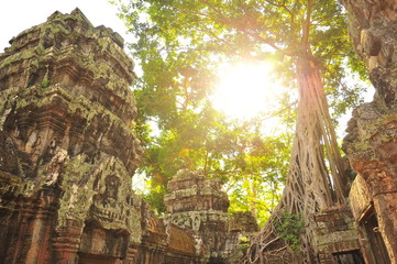 Angkor Ta Prohm Temple of Cambodia