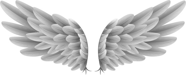 Obraz premium Naturalne białe skrzydła gęsi z tłem