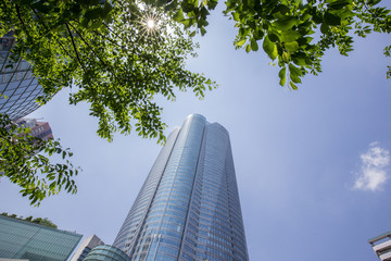 新緑の木々と高層ビル（六本木／東京）
